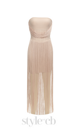 PENELOPE TULLE STRIPED EMBELLISH STRAPLESS APRICOT MIDI DRESS