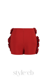 3D FLOWER EMBELLISHED SKIRT IN RED