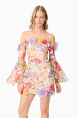 tabitha multicolor Off Shoulder Mini Dress in Floral