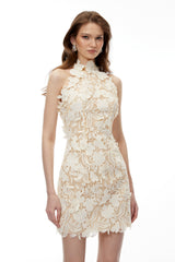 irene Neutral High Neck Lace embroidery Mini Dress