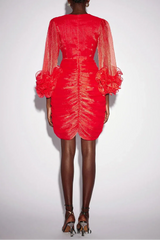 apphia Ruched Mesh Bodycon Mini Dress in red