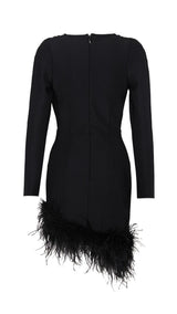 LONG SLEEVES FEATHER MINI DRESS IN BLACK styleofcb