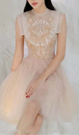 MESH EMBROIDERED SKATER DRESS IN PINK DRESS STYLE OF CB