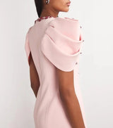 roxanne crystal-embellished crepe bodycon gown in pink