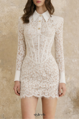 aaliyah long sleeve Embroidered Lace bodycon Mini Dress in white