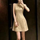 georgia lace embroidery sleeveless mini dress - gold