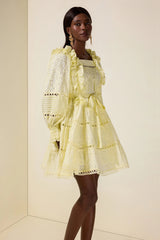 victoria Embroidered hollow Ruffle Mini Dress - yellow